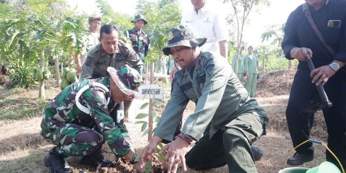 peringati-hut-ke-78-pomad-perhutani-pomdam-vbrawijaya-tanam-500-pohon-buah