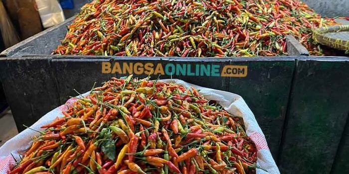 harga-cabai-rawit-merah-di-jatim-hari-ini-naik-rp3-400-per-kg