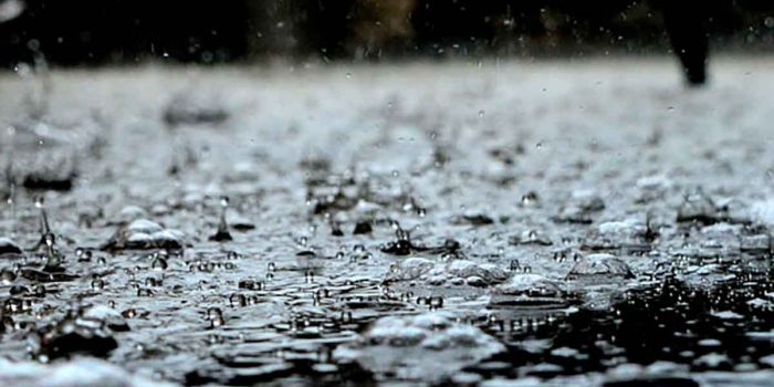 Ilustrasi. Foto: Pexels
