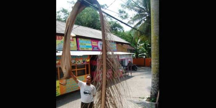 foto: herman subagyo/ BANGSAONLINE