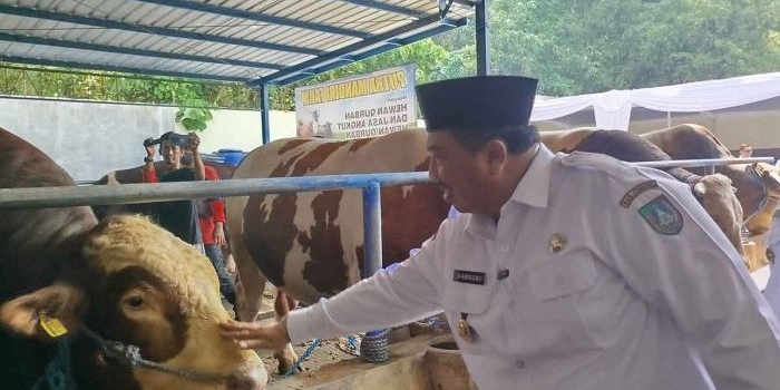 pemkab-jombang-pastikan-hewan-kurban-di-sejumlah-peternak-aman-dan-sehat