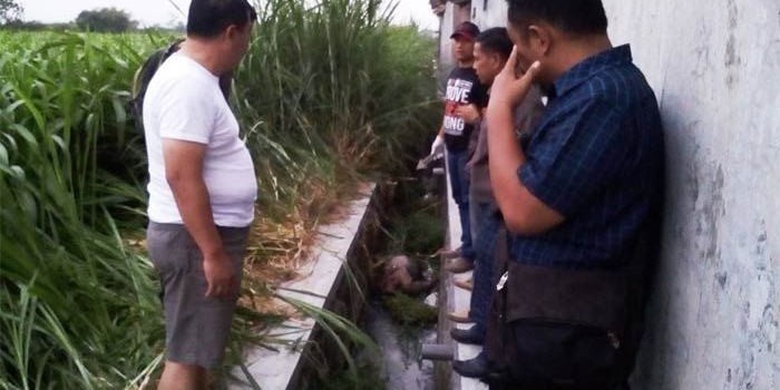 Jenazah korban saat hendak dievakuasi.
