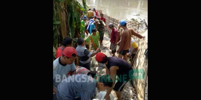 Aksi gotong royong warga dan Pemda setempat memperbaiki tanggul yang rusak. foto: YUDI EP/ BANGSAONLINE