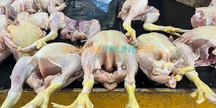 harga-daging-ayam-cabai-hingga-bawang-merah-di-surabaya-hari-ini-turun