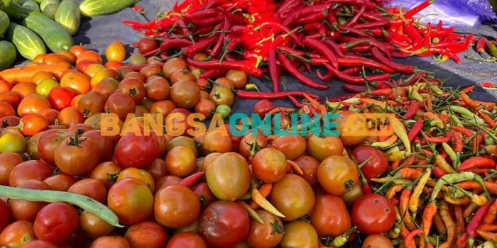 harga-sembako-jatim-kamis-7-agustus-2025-tomat-rp10-211kg-cabai-rawit-rp31-245kg