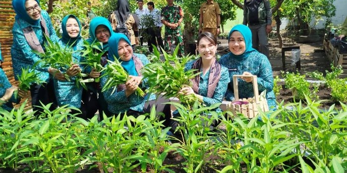 kunjungan-ke-bangkalan-ketua-pkk-jatim-dorong-penurunan-angka-stunting-lewat-penanaman-hortikultura