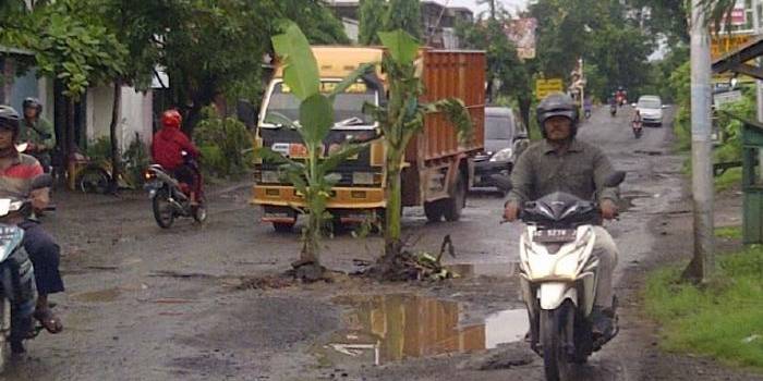 BIKIN KECELAKAAN: Sejumlah pohon pisang yang ditanam warga di ruas jalan yang kondisinya rusak parah. foto: soewandito/ BANGSAONLINE