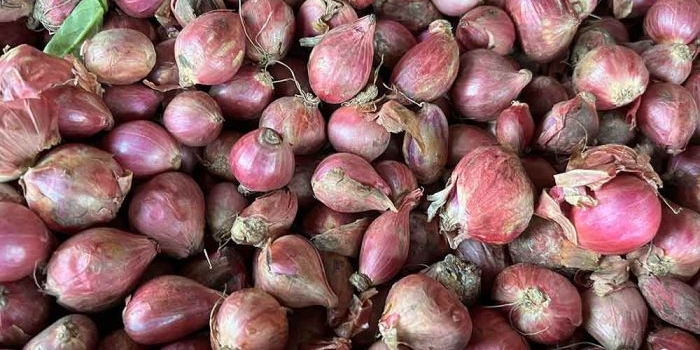 harga-sembako-jatim-kamis-5-juni-2025-bawang-merah-rp38-717kg-cabai-rawit-rp33-558kg