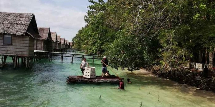 terumbu-karang-inovasi-profesor-its-mampu-pecahkan-gelombang-laut