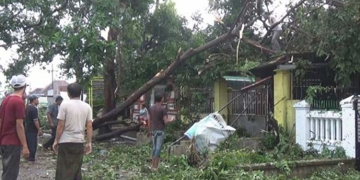 Salah satu rumah warga yang tertimpa pohon akibat puting beliung.
