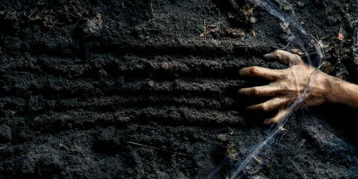 aktivis-greenpeace-dapat-kiriman-bangkai-ayam-dan-pesan-teror-ancam-keluarga