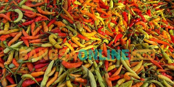 cabai-rawit-semakin-meroket-rata-rata-harga-pangan-nasional-hari-ini-fluktuatif