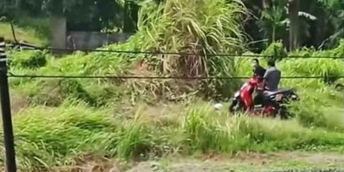 Video viral yang menjadi atensi Kapolsek Krian.
