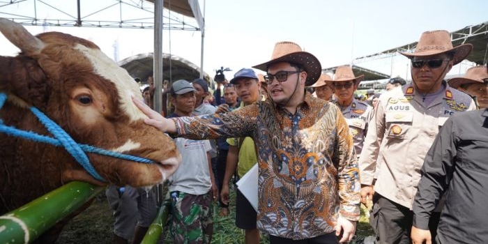 bupati-dhito-targetkan-kontes-sapi-kediri-jadi-yang-terbaik-di-jatim
