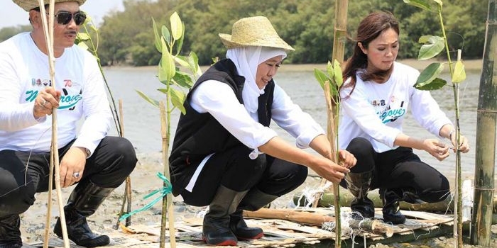 gubernur-khofifah-ajak-masyarakat-sedekah-oksigen-lewat-gerakan-tanam-mangrove
