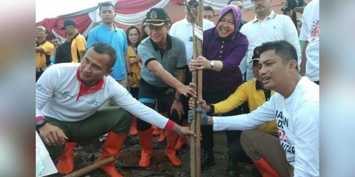Wali Kota Risma bersama Forkopimda sedang menanam pohon mangrove. foto: YUDI A/ BANGSAONLINE