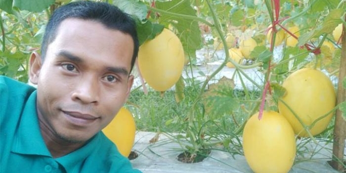 Ikramullah, Ketua Pemuda Tani Pamekasan saat di kebun Melon Golden Desa Cenlecen, Pakong, Pamekasan.