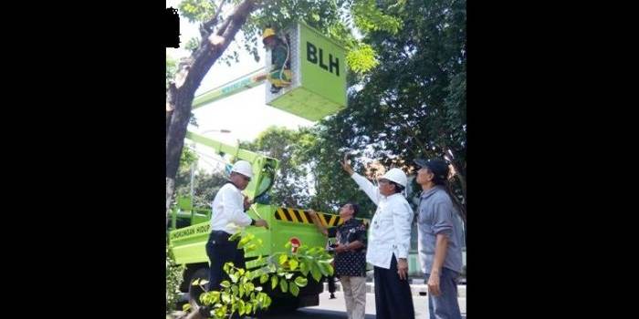 Ketua DPRD Gresik, H Abdul Hamid  bersama Bupati, Sambari HR ketika memantau langsung pemangkasan pohon. foto: syuhud/BangsaOnline.com