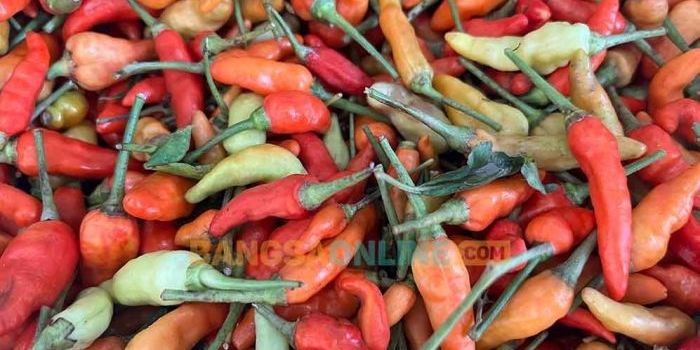 fluktuasi-harga-sembako-lumajang-22-ramadan-1447-h-cabai-rawit-masih-merangkak-naik