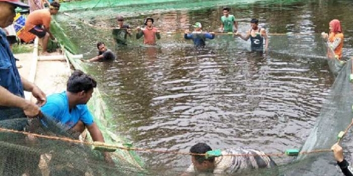 Salah satu tambak udang yang ada di Pacitan.