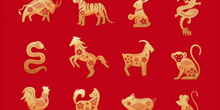 ramalan-shio-minggu-24-september-2023-anjing-kaget-ternyata-babi-cuan-akan-datang