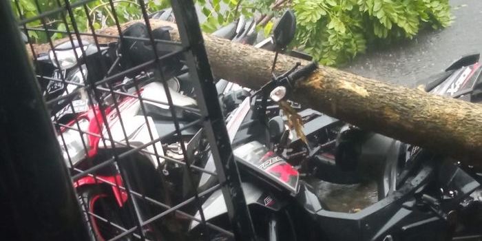Beberapa sepeda motor yang tertimpa pohon tumbang di Jalan Panglima Polim, Kota Kediri. foto: ist.