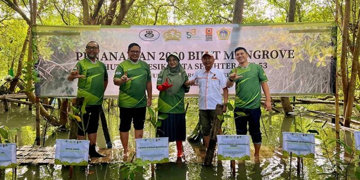 pii-dan-gcs-tanam-2-000-bibit-mangrove-di-bmc-ujungpangkah