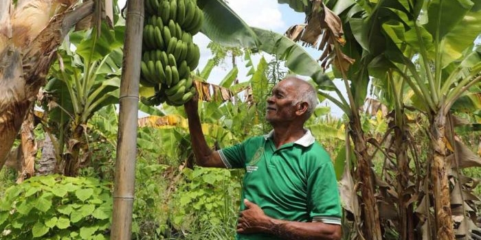 jadi-kampung-reforma-agraria-warga-baumata-kupang-nikmati-tambahan-penghasilan