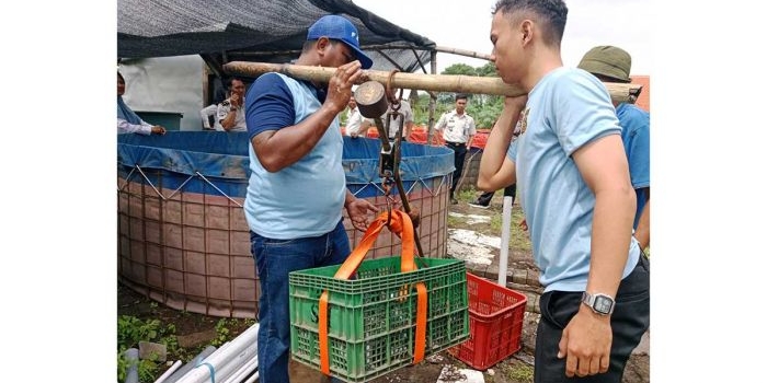lapas-sidoarjo-gelar-panen-raya-lele-hasil-pembinaan-wbp