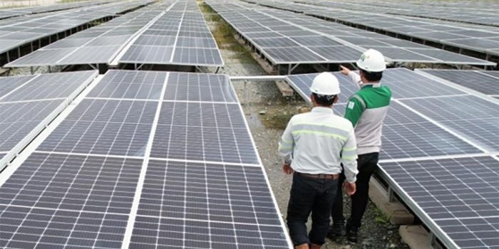 7-vendor-plts-untuk-perusahaan-di-indonesia