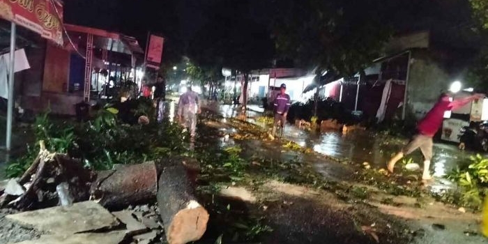 puluhan-pohon-tumbang-diterjang-puting-beliung-bpbd-kota-kediri-lakukan-evakuasi