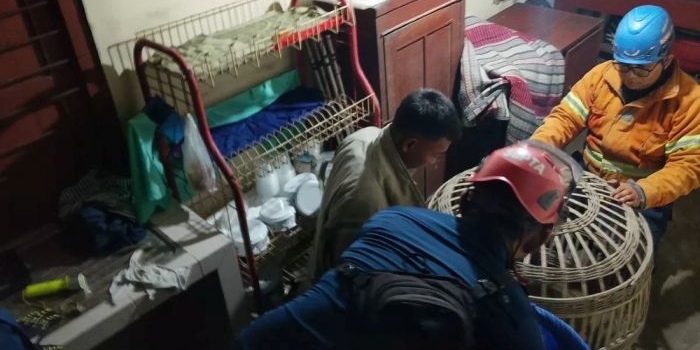 monyet-lepas-dan-serang-dua-warga-jombang-damkar-butuh-15-jam-untuk-evakuasi