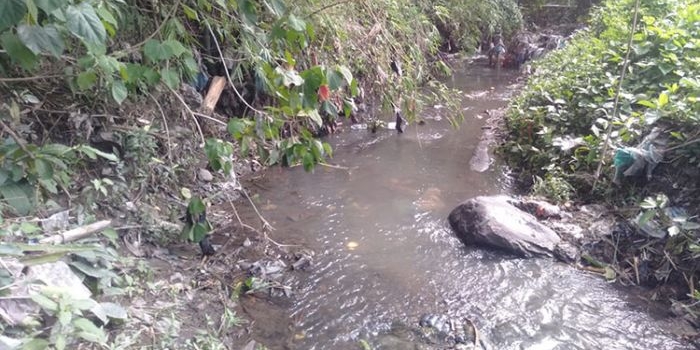 Kondisi sungai di Dusun Kemranggen, Desa Winong, Kecamatan Gempol, Kabupaten Pasuruan, yang kerap meluap akibat pendangkalan.