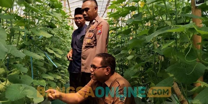 inovasi-desa-suci-budidaya-melon-hidroponik-dalam-green-house-dongkrak-pades