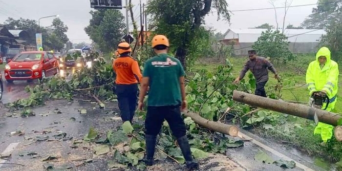 Petugas dari BPBD Kabupaten Blitar bersama TNI-Polri saat mengevakuasi pohon tumbang akibat angin kencang.