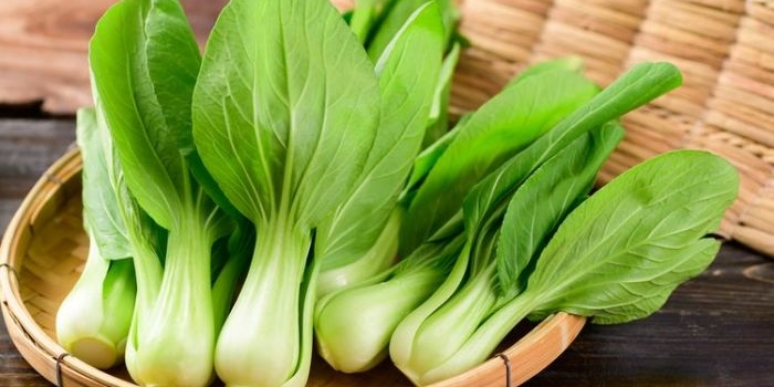 4 Manfaat Sayur Pakcoy, Bantu Jaga Berat Badan hingga Kehamilan Sehat. Foto: Ist