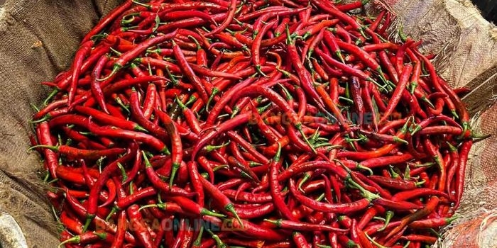 fluktuasi-harga-sembako-surabaya-11-februari-2026-cabai-besar-dan-rawit-turun