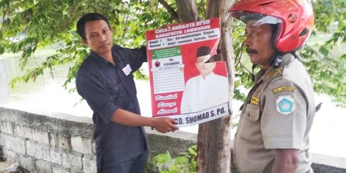 Petugas saat menertibkan Alat Peraga Kampanye (APK) yang melanggar aturan.