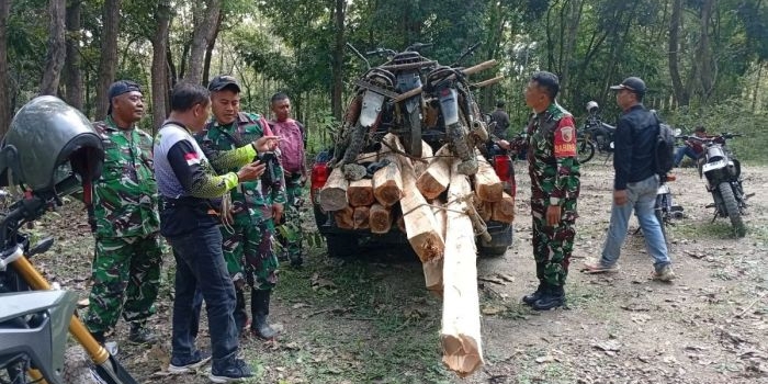 aparat-gabungan-amankan-belasan-kayu-hasil-pembalakan-liar-di-hutan-jatirogo-tuban
