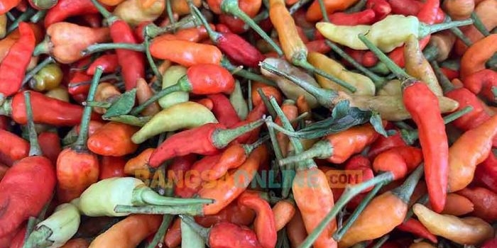 update-daftar-harga-sembako-kota-batu-awal-april-2026-cabai-besar-rawit-dan-keriting-naik-lagi