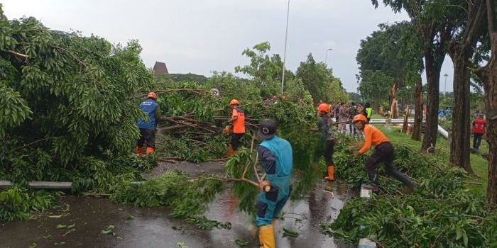 angin-puting-beliung-terjang-terminal-1-bandara-juanda-sejumlah-pohon-tumbang