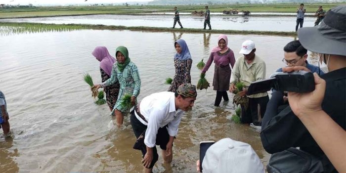 kunker-di-bangkalan-mentan-ikut-tanam-padi