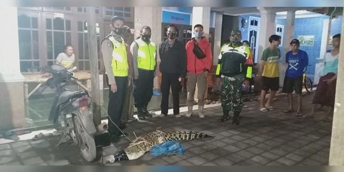 Petugas dan warga foto bersama buaya yang baru saja ditangkap.