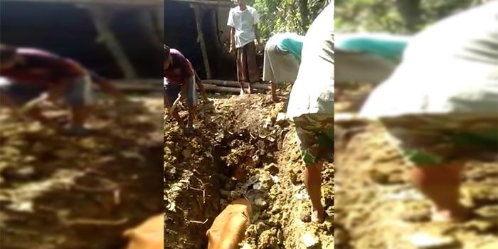 Salah satu sapi milik peternak di Kecamatan Kedungdung yang mati.