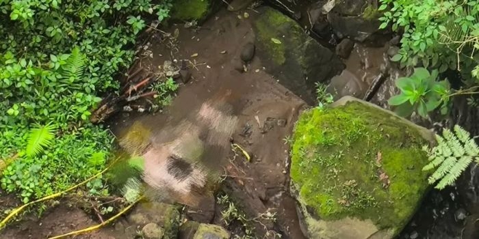 Jasad pria tak bernyawa ditemukan di bawah jembatan cangar Kamis (23/4/2026)