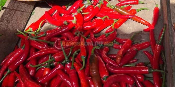Cabai besar menjadi salah satu komoditas yang mengalami penurunan di Kota Kediri hari ini. Foto: Bangsaonline.