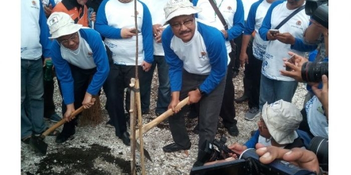 Wagub Jatim Saifullah Yusuf didampingi Dirjen Pengendalian Pencemaran dan Kerusakan Lingkungan melakukan gerakan menanam di sekitar bibir pantai acara Gerakan Bersih Taman Surabaya Pantai Kenjeran. Foto: YUDI ARIANTO/BANGSAONLINE
