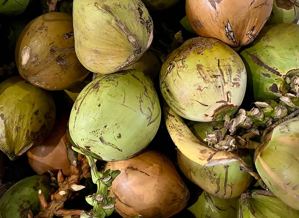 Degan ijo. Foto: Sulthon/Bangsaonline.