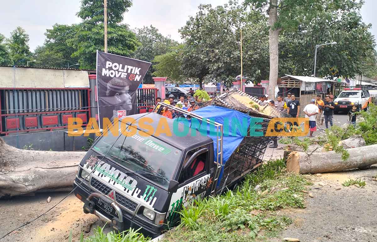 Pikap jenis L 300 tertimpa pohon tumbang di Jalan Musi Barat, Kota Blitar. Foto: AKINA NUR ALANA/ BANGSAONLINE