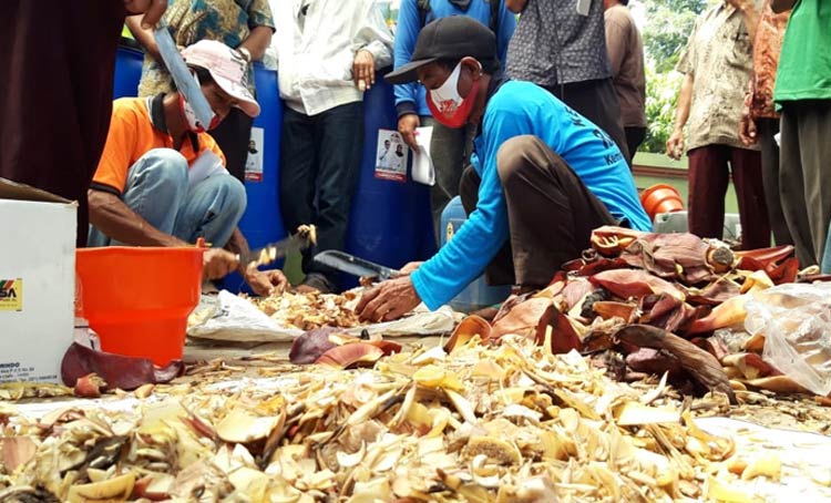 Peserta pelatihan saat mempraktikkan cara pembuatan pupuk organik. (foto: MUJI HARJITA/ BANGSAONLINE